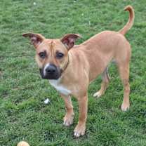 Thumbnail photo of Jackson #2