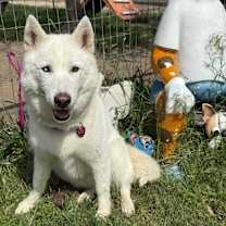 Thumbnail photo of Snow #2