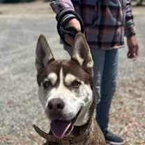 Thumbnail photo of MAYA #3