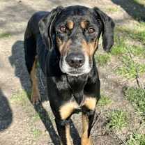 Thumbnail photo of Brooks [Foster Home] #3