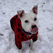 Thumbnail photo of Mama Pearl #2