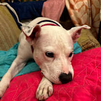 Thumbnail photo of Mama Pearl #3