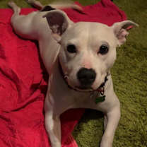 Thumbnail photo of Mama Pearl #4