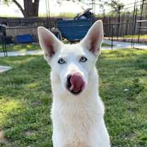 Thumbnail photo of Ellie #1