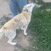 Thumbnail photo of Barry #2