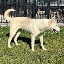 Thumbnail photo of Ellie #4