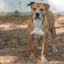 Thumbnail photo of Saskia #3