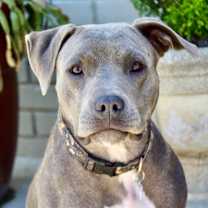 Thumbnail photo of Aaron #4