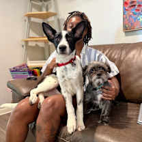 Thumbnail photo of Bronco Beanie Baby with the good ears #2