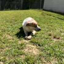 Thumbnail photo of Lilly #3