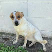 Thumbnail photo of Lilly #4