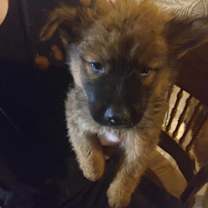 Thumbnail photo of Spice #3