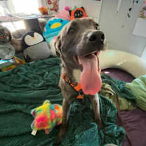 Thumbnail photo of Malcolm #4