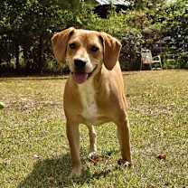 Thumbnail photo of Nemo #1