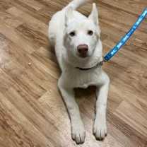 Thumbnail photo of Hero #1