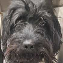 Thumbnail photo of Mister 11/14/23 #2