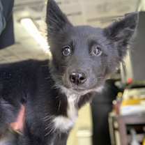 Thumbnail photo of Mykayla #1