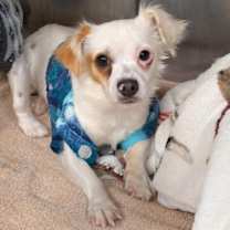 Thumbnail photo of Tate #1