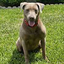 Thumbnail photo of Ellie #1