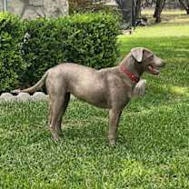 Thumbnail photo of Ellie #2