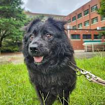 Thumbnail photo of Gucci #1