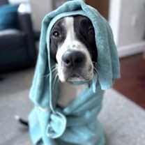 Thumbnail photo of Tristan #2