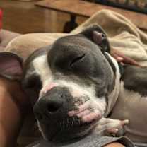 Thumbnail photo of Maddie #3