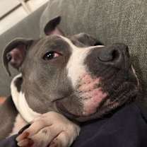 Thumbnail photo of Maddie #4