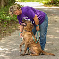 Thumbnail photo of Damon #4