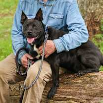 Thumbnail photo of Ritchie #2