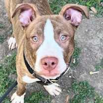 Thumbnail photo of Julian #1