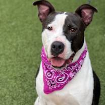 Thumbnail photo of Elizabeth #1