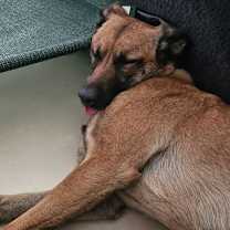 Thumbnail photo of Bonnie #2