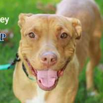 Thumbnail photo of Sidney #3