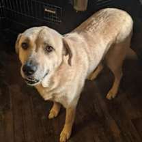 Thumbnail photo of Sandy #1