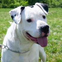 Thumbnail photo of Sailor #3