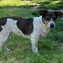 Thumbnail photo of Jane Doe * #3