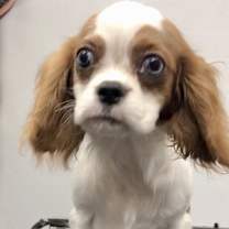 Thumbnail photo of Dustin #1