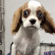 Thumbnail photo of Dustin #2