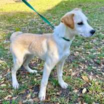 Thumbnail photo of Mac #3