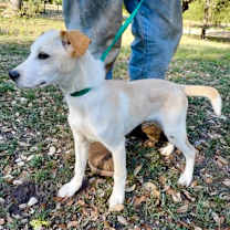 Thumbnail photo of Mac #2