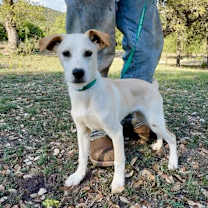 Thumbnail photo of Mac #1