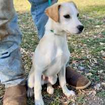 Thumbnail photo of Mac #4