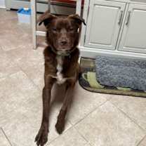 Thumbnail photo of RILEY #2