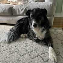 Thumbnail photo of Wickett #1