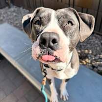 Thumbnail photo of Birdie #2