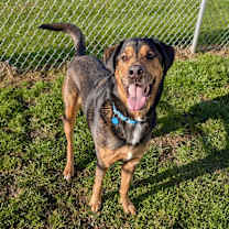 Thumbnail photo of Charlie #4