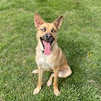 Thumbnail photo of Judy #1