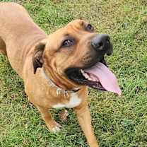 Thumbnail photo of Zeus #4