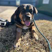 Thumbnail photo of Nana #3